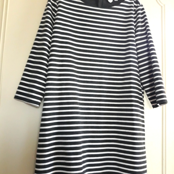 Gap ladies dress large - Picture 1 of 3